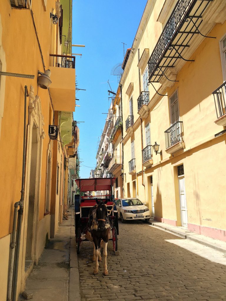 Cuba may be in the midst of a transformation but it still has horses and carts mixed with cars and hardly any internet